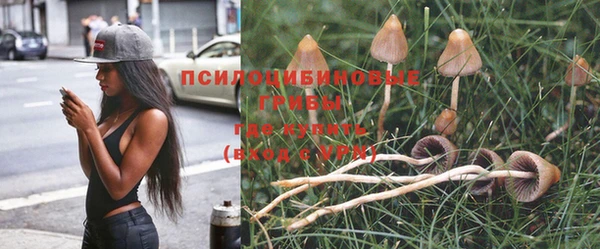 MDMA Premium VHQ Магас